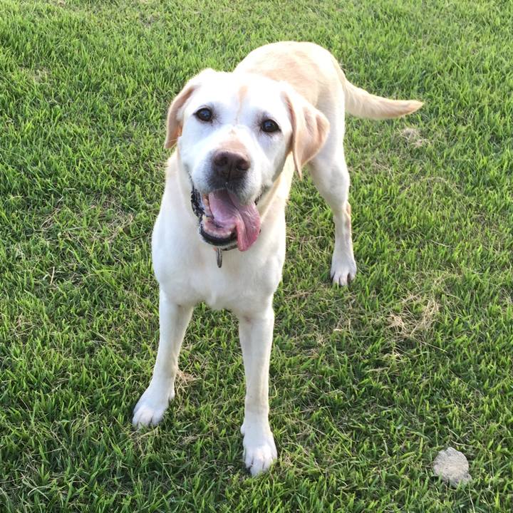 C3b14772 efb4 4916 b444 c9621cb5dd51