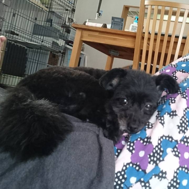 C3b18bea 460a 4d32 ad62 bb8ab111a438