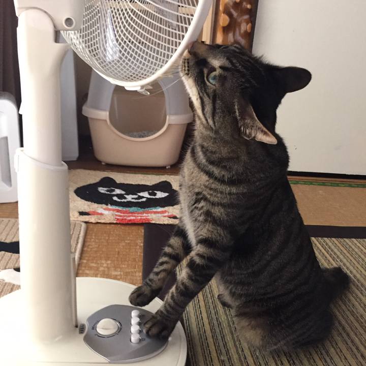 C3b19711 35bb 40ad 924c 32953deeae1f