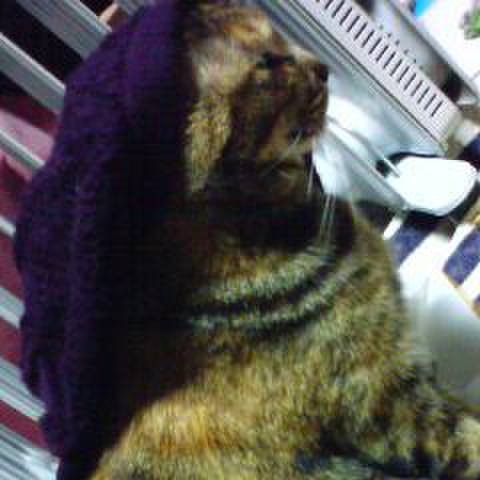 C3b1e68b 8c99 4e06 bf5c 90a0e75ee8cb