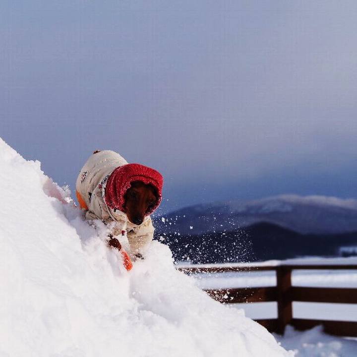 C3b1eafb a8f5 41a3 9a83 f15f1b1ab126