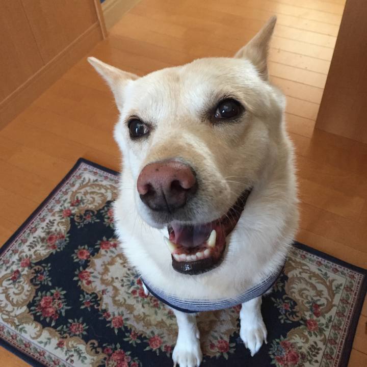 C3b39989 f400 4559 909a 0a360ed4d71f