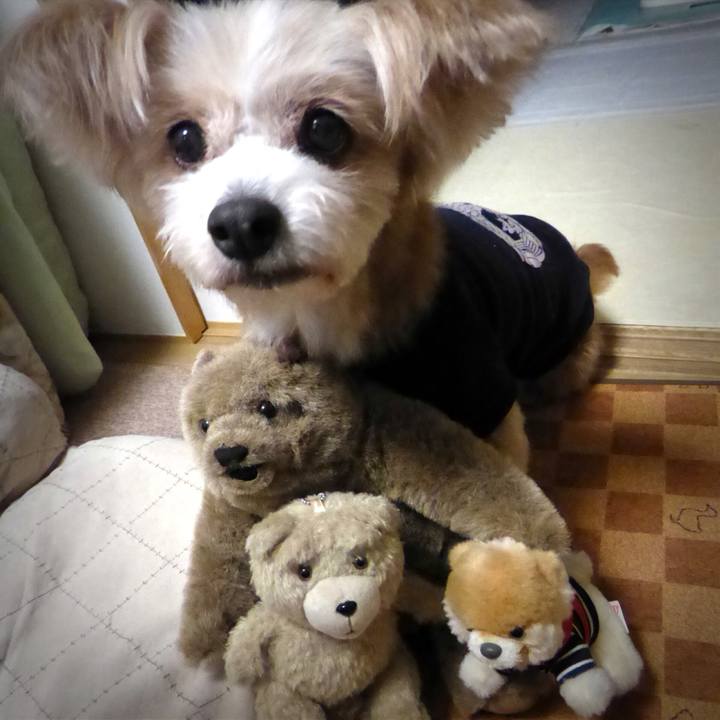 C3b41b75 a4aa 460b a8cc 04784649b03d