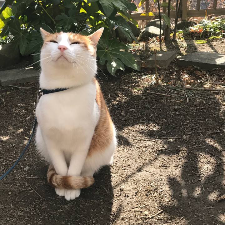 C3b42af4 12fc 4cb5 96b4 23c2b6da278a