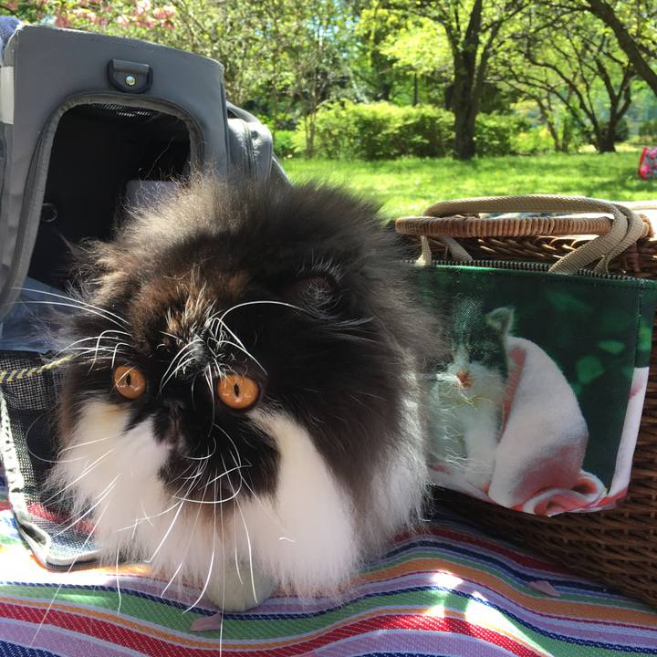 C3b42f81 e4d2 432e 86d5 0dfb416f5e09