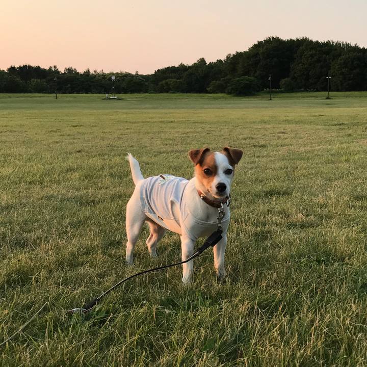 C3b443fc 498e 4488 b13f 5606f2079276