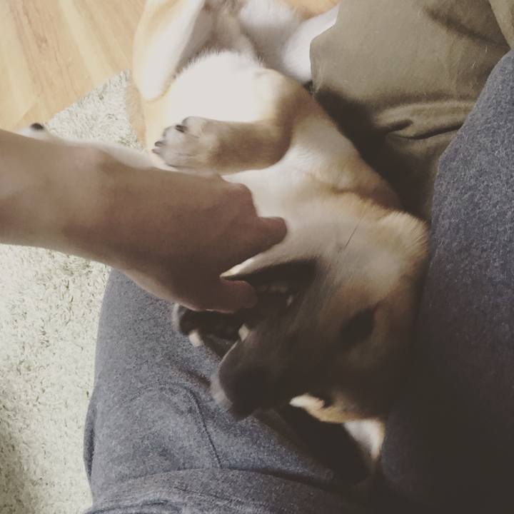 C3b46a1a ecfa 48c4 bf55 6fc442d06278