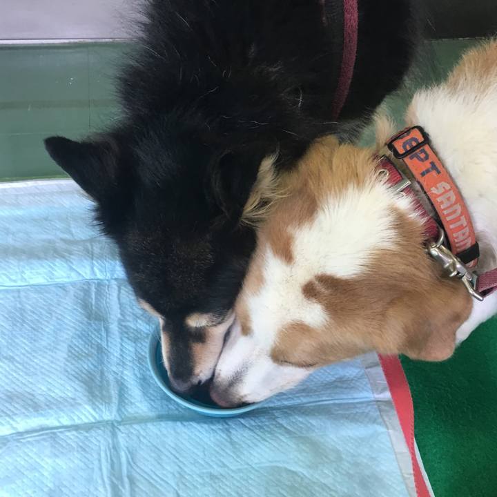 C3b4ad20 3dfa 4323 b35f d7818ba134c3