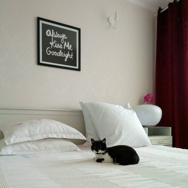 C3b51781 867a 4ddf 81f8 a874cda78867