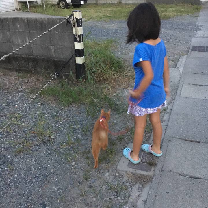 C3b5e938 edc0 4643 a391 db409a1bc21d