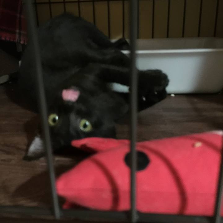 C3b645e3 95d5 4b6d 99fa dc84e3298699