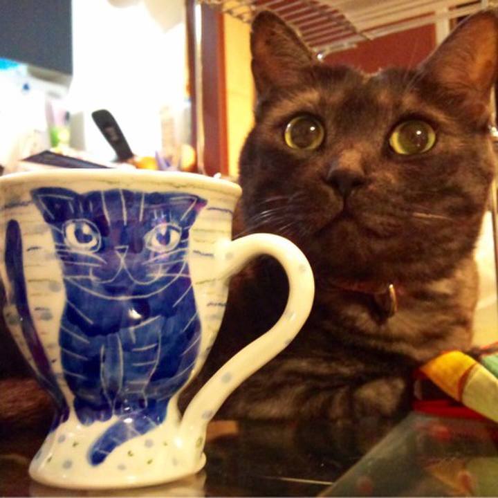 C3b7c1ba 65e8 473c b387 f3dae54f9027