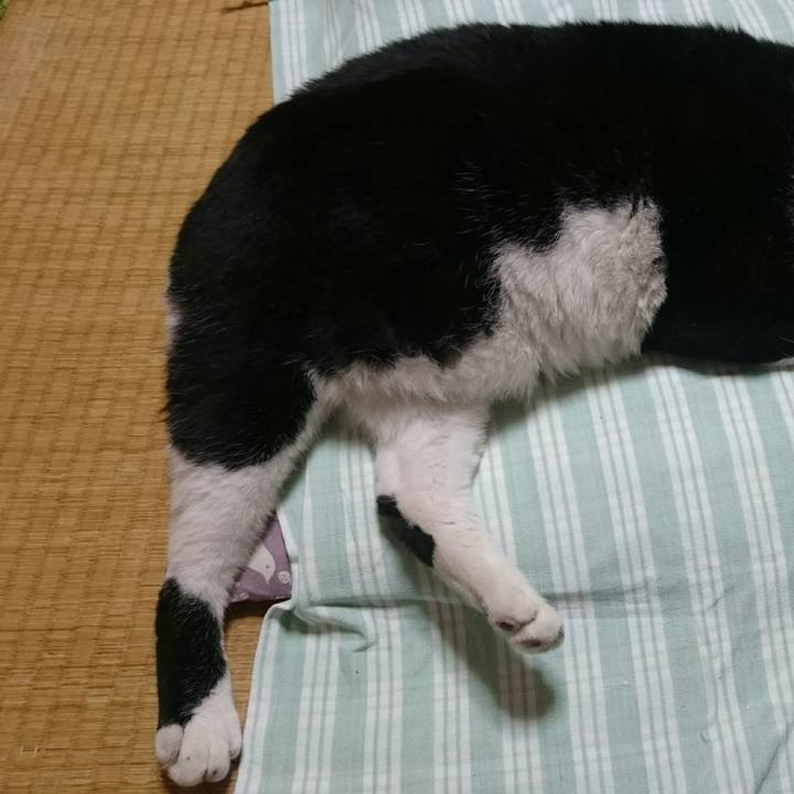 C3b833f3 8cfa 42dc aa76 48378039c2b4