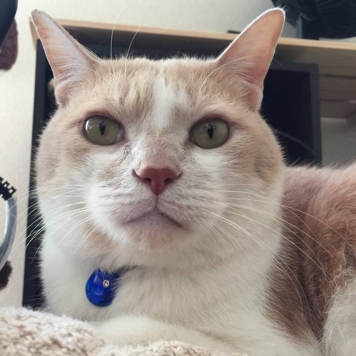 C3b8730d ba39 461d 9afa 7d5b61c956c4