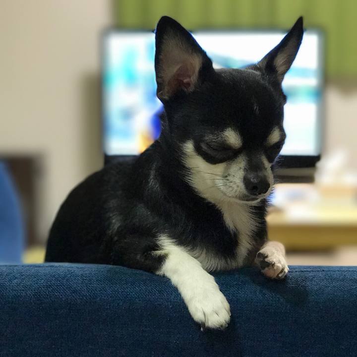 C3b8c8a4 7547 4e21 8173 4ca36e36c16a