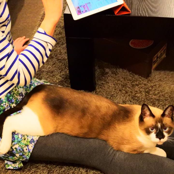 C3b8d690 09ad 4ab7 92d0 4c73b54d32f1