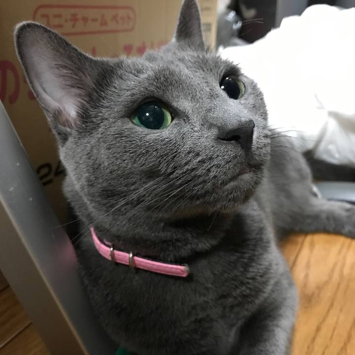 C3b90466 6b34 40d7 a59e 035806b15398