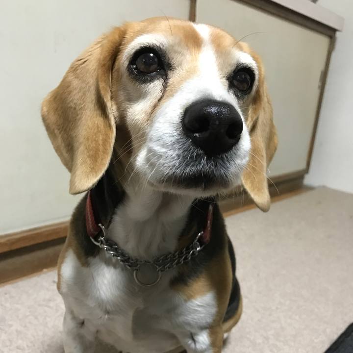 C3b9dc8a 89b9 4669 a68e 666c756d9f57