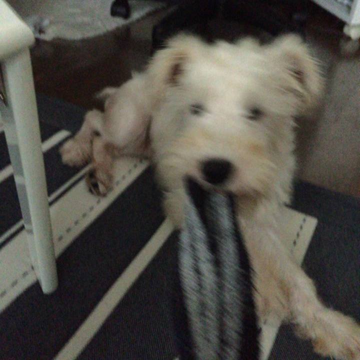 C3b9f6c6 3752 4bd6 9695 7658eacaba5e