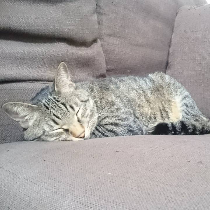 C3bb1f2f 8a45 4c43 b522 ccf23a2f9ec8