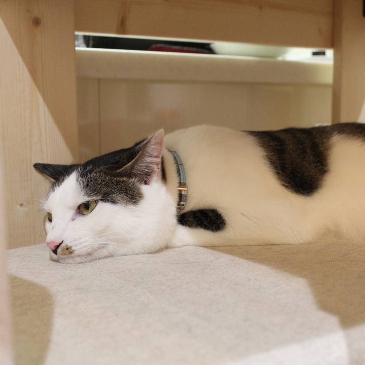 C3bbc8b6 7d62 4b4d b8df 0369ed91481c