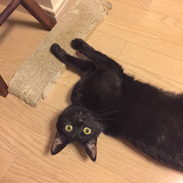 C3bc8443 c416 4ae5 b7d2 29c6dc80d50d