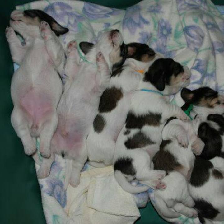 C3bd6792 b100 4409 8abd 4c4e63b31b1d