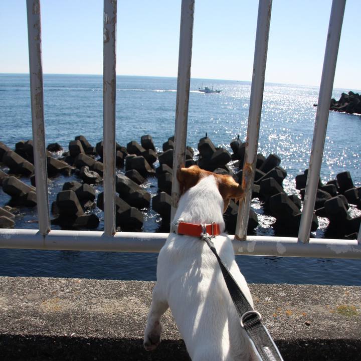 C3bdf3c7 5188 40ae 85b4 818780a65a93