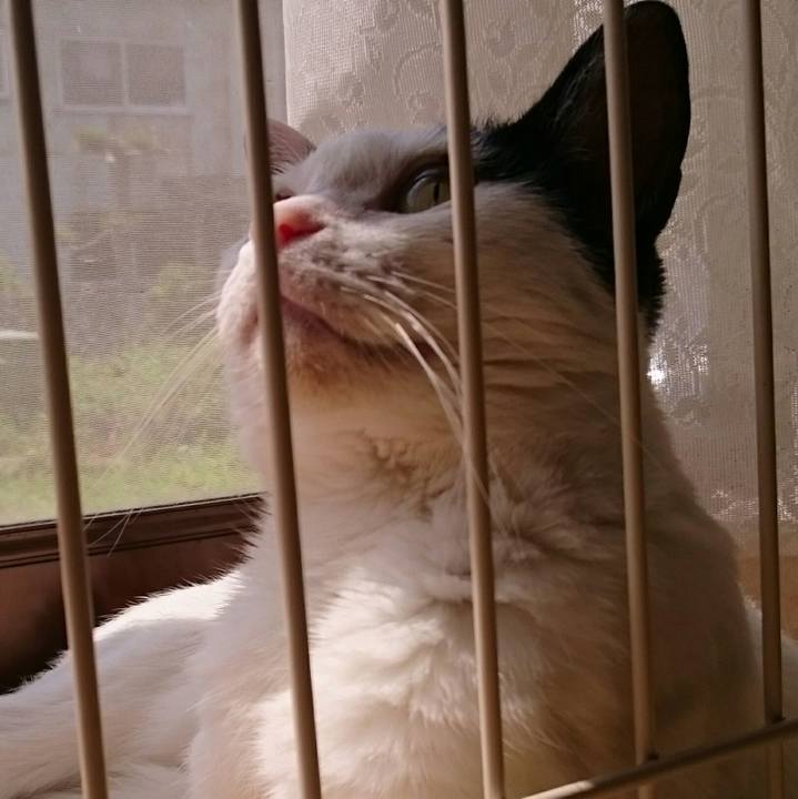 C3bdfe83 d11b 4e48 b74d b73e0a24b735