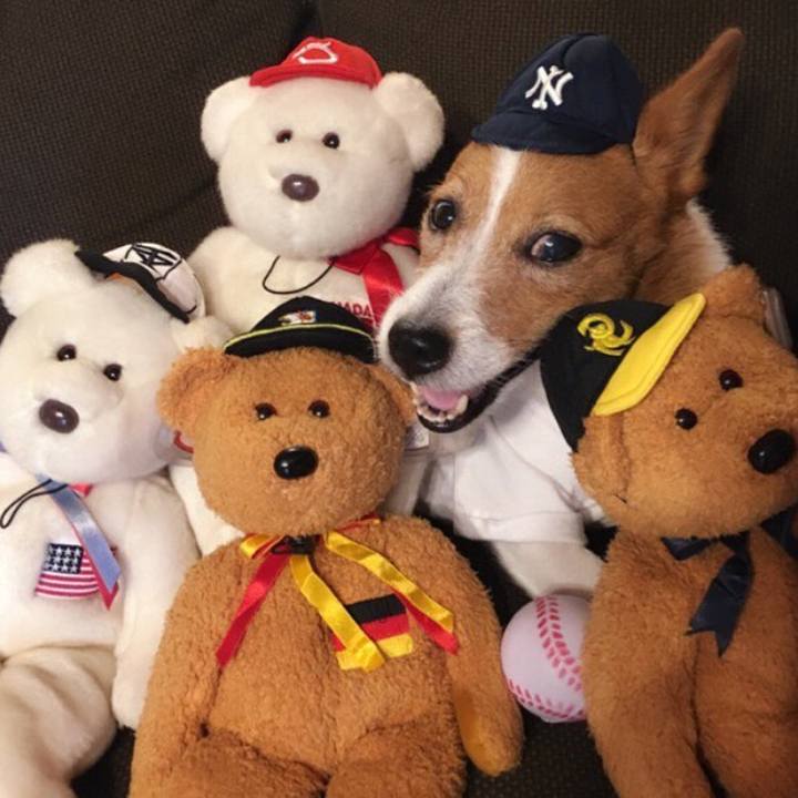 C3be5836 fd23 4328 9960 d7bb681ace7c