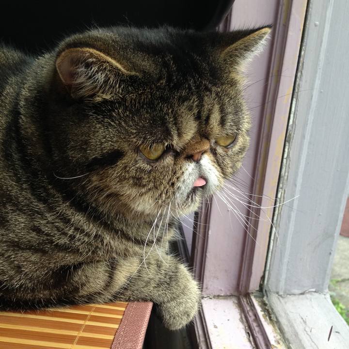 C3be59bd 429a 4d2e 81ba dd8fc290f044