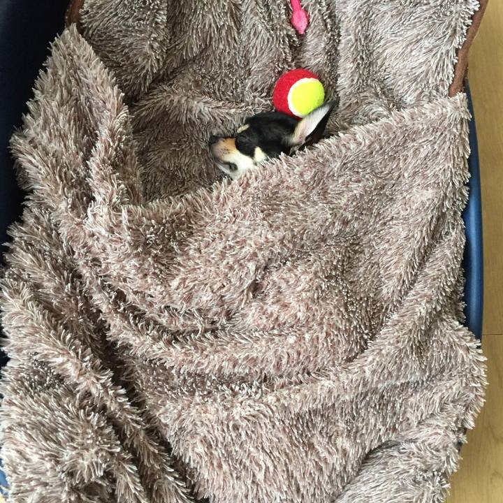 C3bee67d 4270 4189 a780 23cc8fc85e29