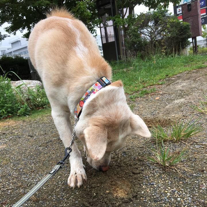 C3bfa489 d5b9 411b be2a acbad2846bc7