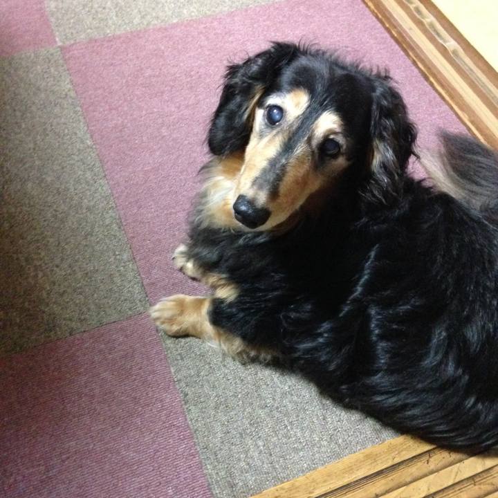 C3bfa533 c023 4780 b626 93fb9081111e