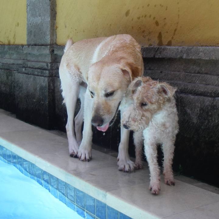 C3bfc7b3 91d0 462a 801a 9d2f55953bbb