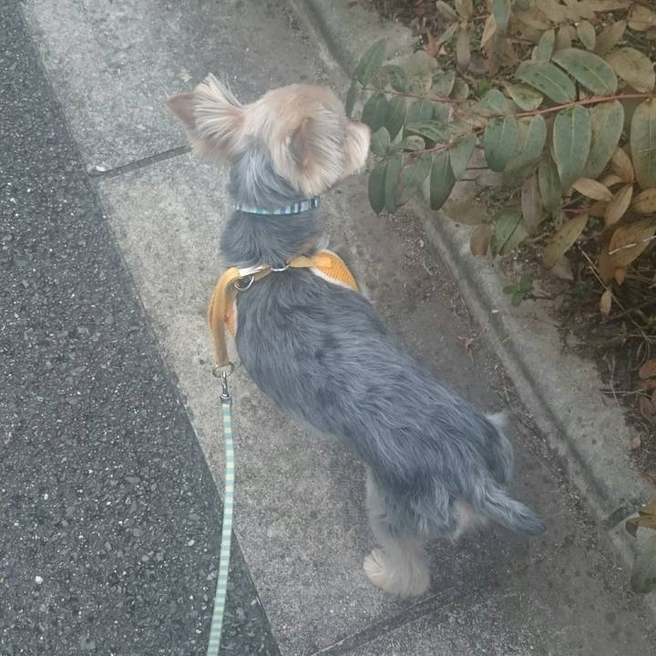 C3c0084e 0f6a 438f bed0 fd521c0b7537