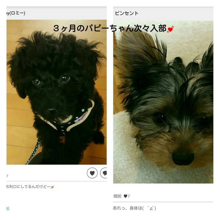 C3c00a49 a929 4b68 9d85 73ef0f5bfdd7