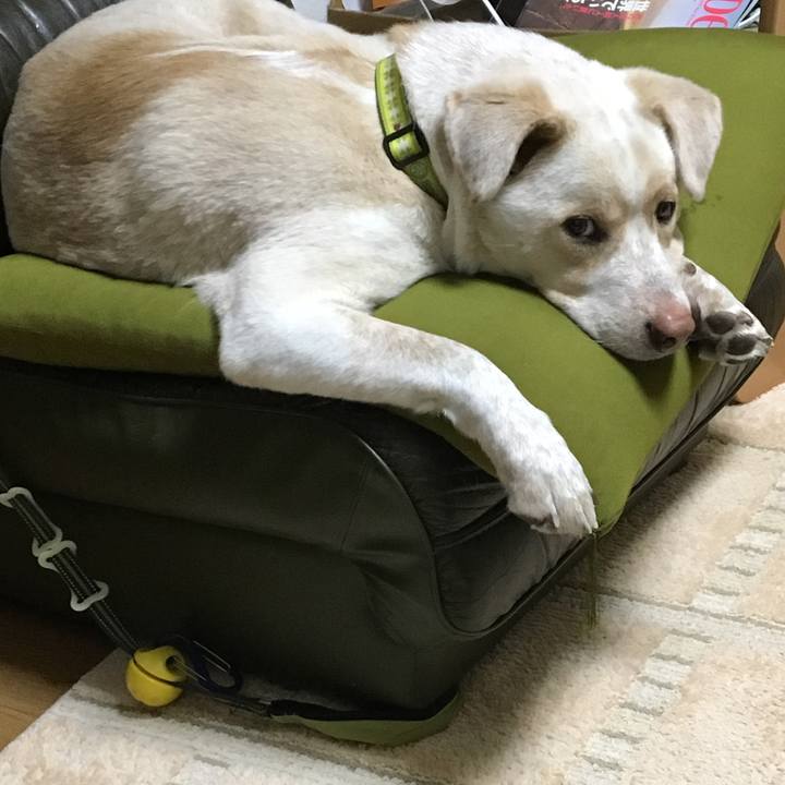 C3c02c3a 6dd3 4cfa 9589 7c0a1b022b36