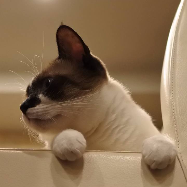 C3c07c16 a42f 44f7 abfd 31f829d710f9