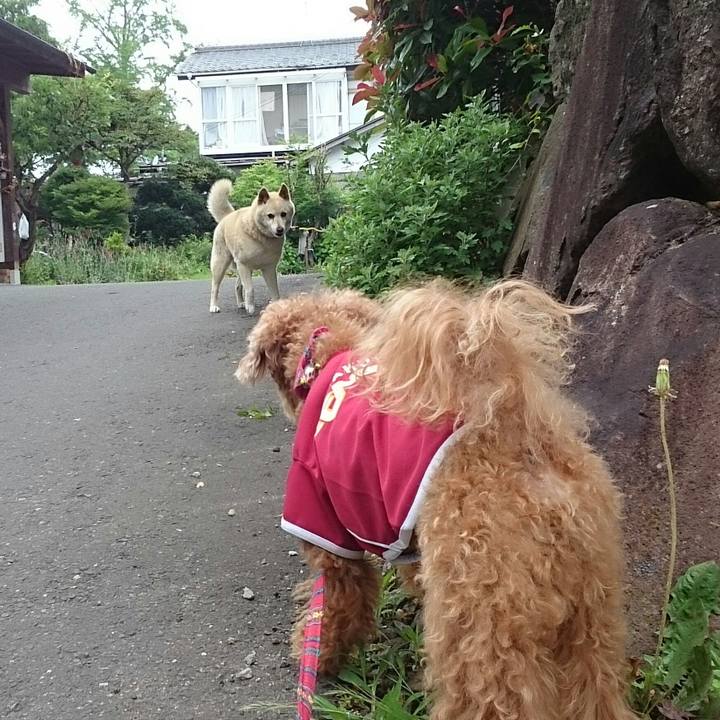 C3c1a564 c349 4944 81c5 9cf593406528