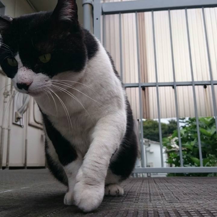 C3c245e3 8a28 4606 bd5f bd718999ea5b