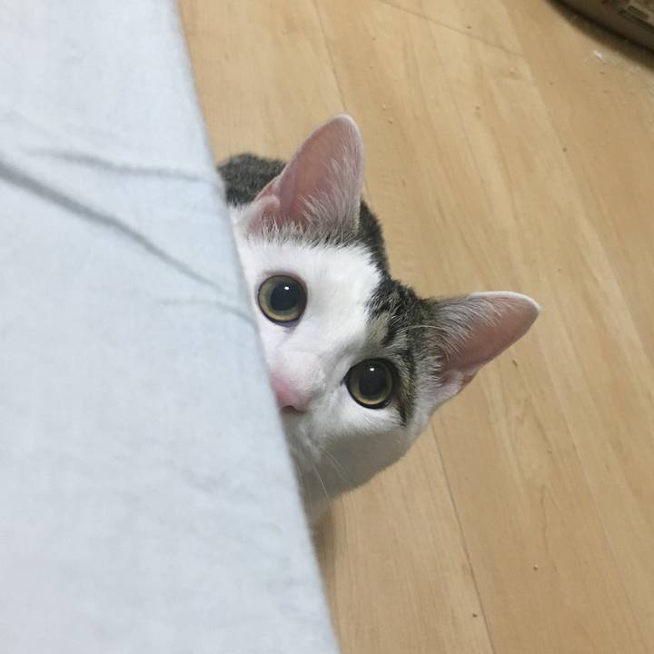 C3c284e1 31d5 4490 b01f 10c1a615b7d3