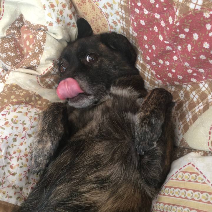 C3c2f1d4 f3b6 4efd 911c 080caf19c87f