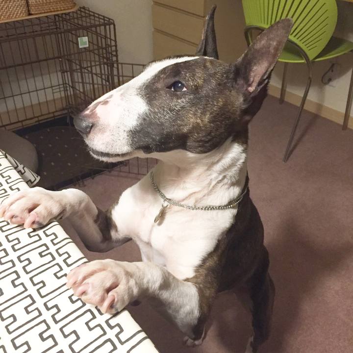 C3c310f8 1017 477b 89f4 6654f2963270