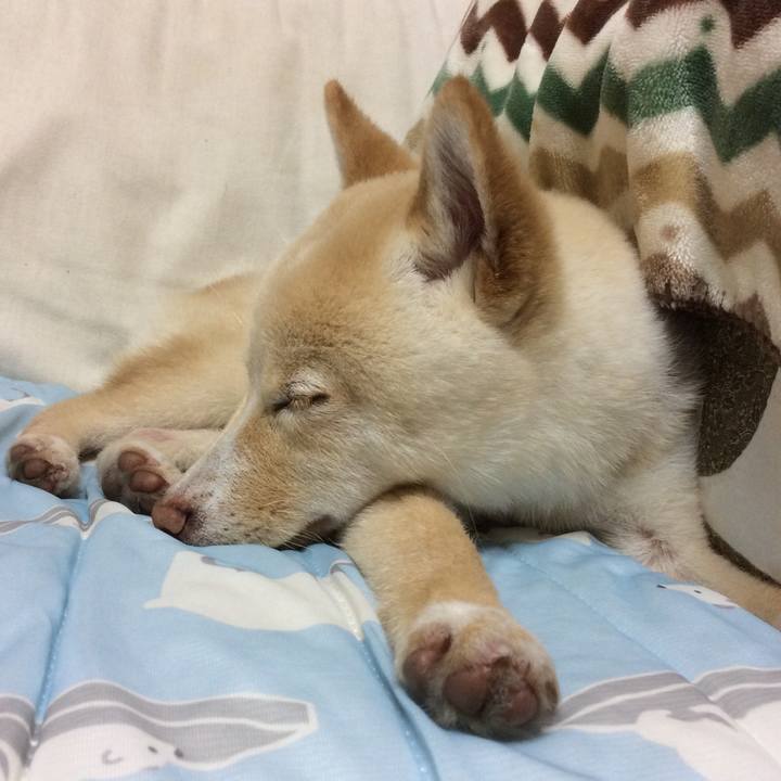 C3c33b7b 2a5e 4aa4 b999 129893a718fc