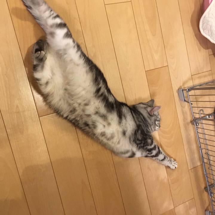 C3c3feef 425d 4893 b15c ff6bfdb5f89f