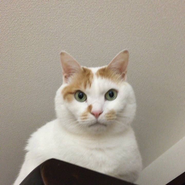 C3c41352 ded7 47db 9577 134dfd74442c