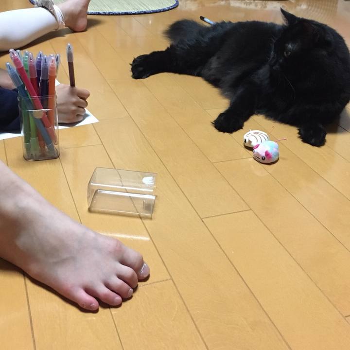 C3c526da 1018 421e a142 111d4fa37338