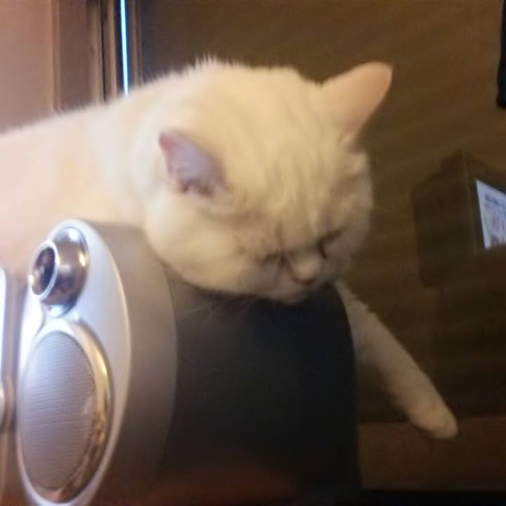 C3c528e9 e71b 4134 9b3c e565e47f1e43