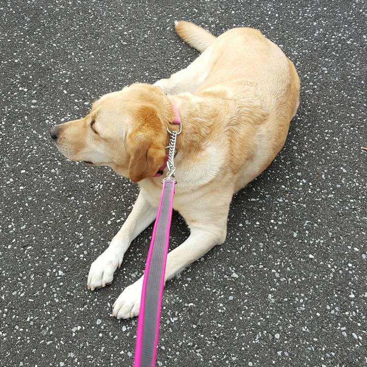 C3c63a32 953e 4bdd 813d cbab46657789